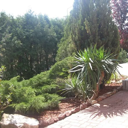 Schieszl 1 * Zamárdi