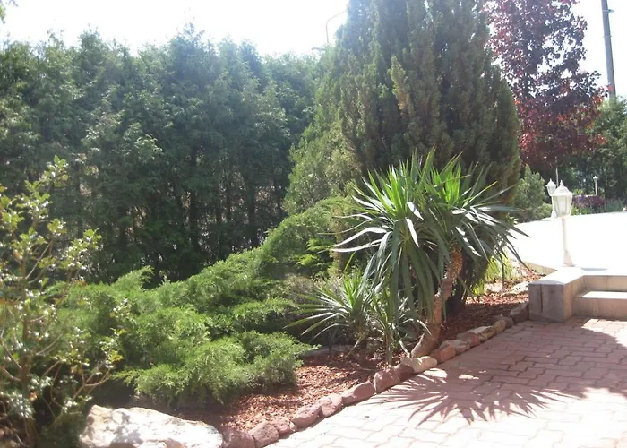 Schieszl 1 * Zamárdi